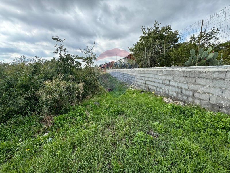 Jordbruksmark i Mascalucia