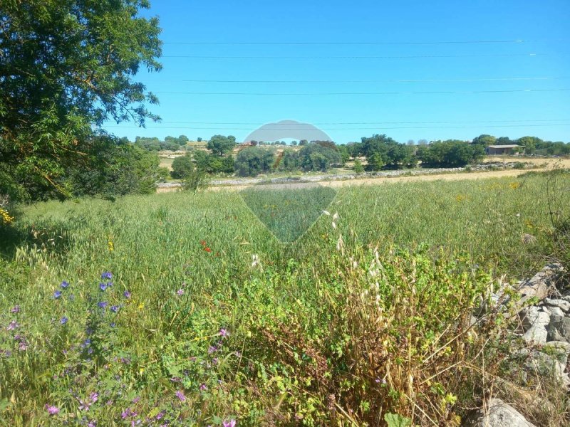 Landwirtschaftliche Fläche in Modica