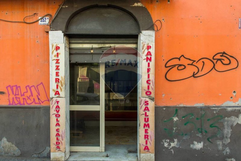 卡塔尼亞商业房产