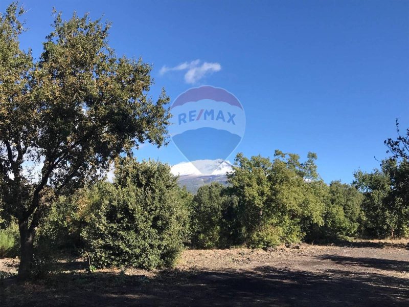 拉加尔纳农用土地