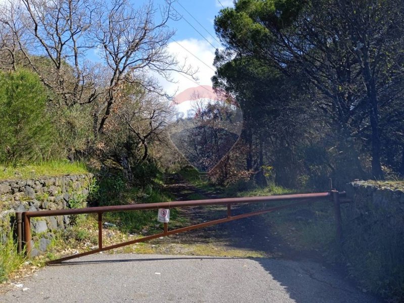 Jordbruksmark i Nicolosi