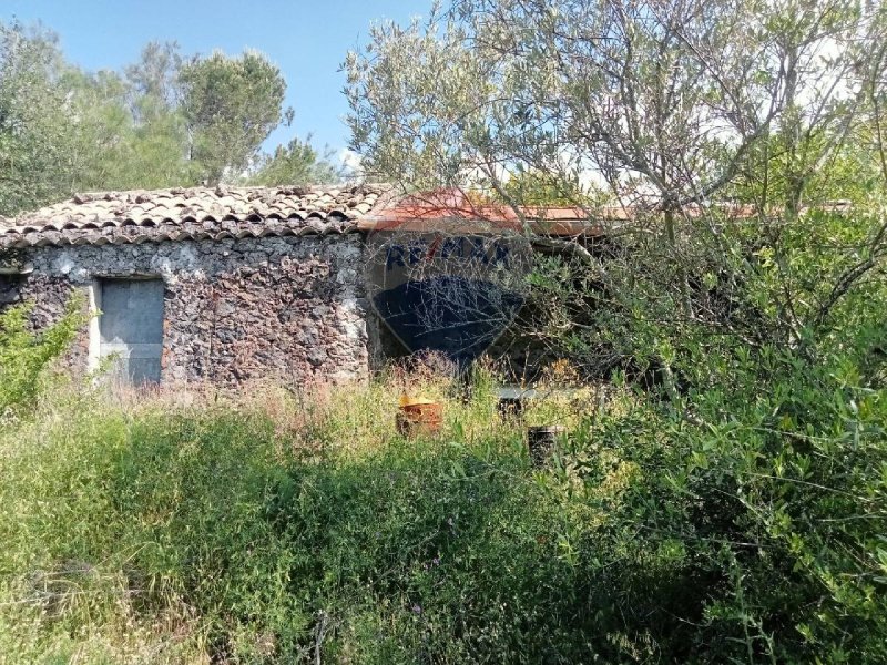 Jordbruksmark i Nicolosi