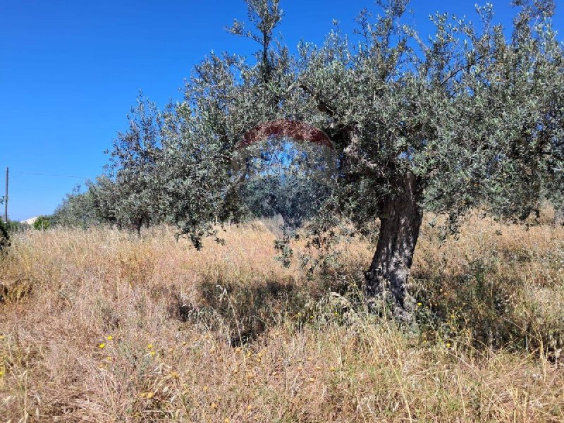 Agricultural land in Chiaramonte Gulfi