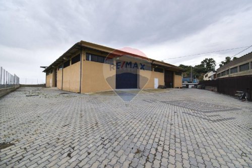 Kommersiell byggnad i Motta Sant'Anastasia