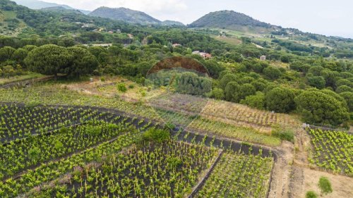 Jordbruksmark i Nicolosi