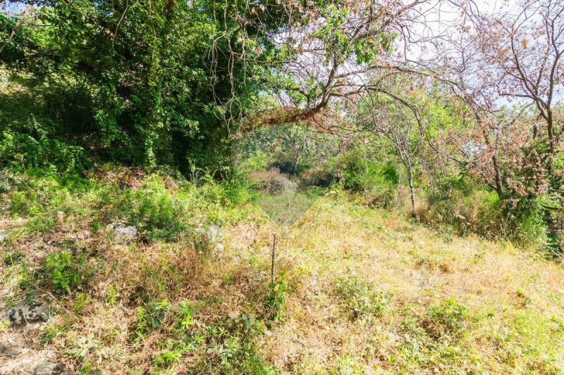 Terreno agrícola en Trecastagni