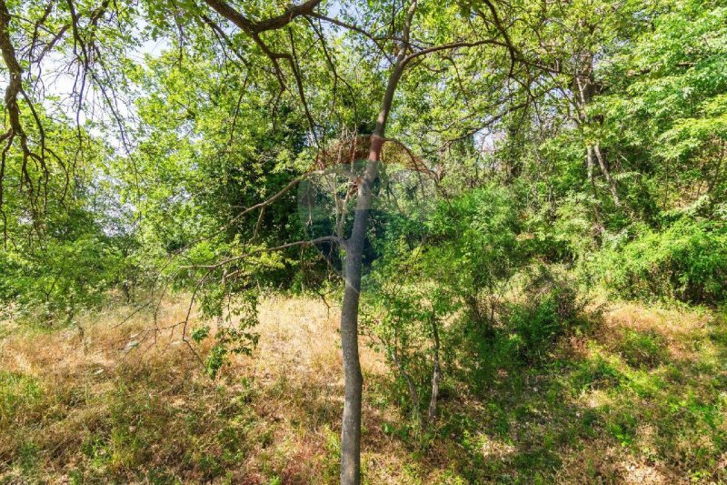 Terreno agrícola en Trecastagni