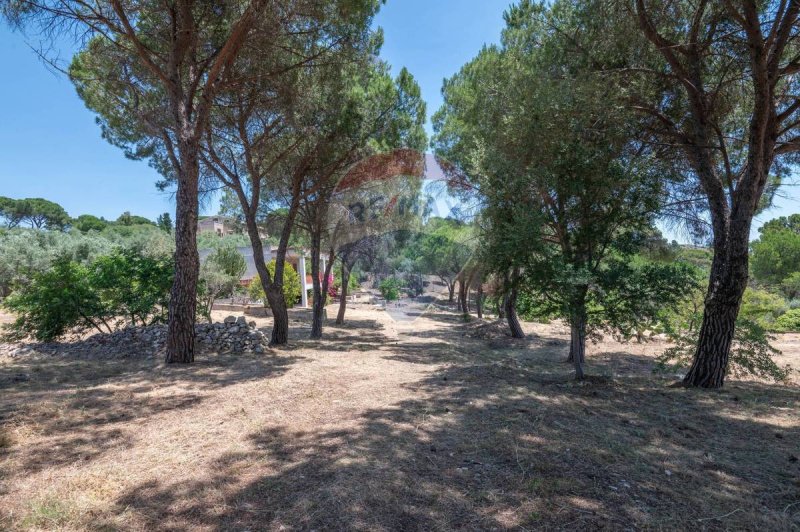 Villa a Avola