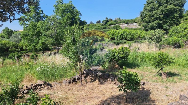Terreno agrícola em Mascali