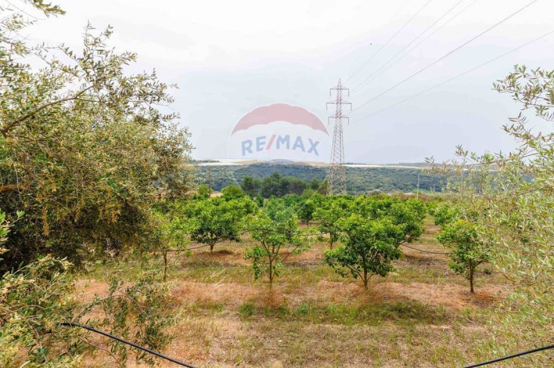 Сельскохозяйственный участок в Кальтаджироне