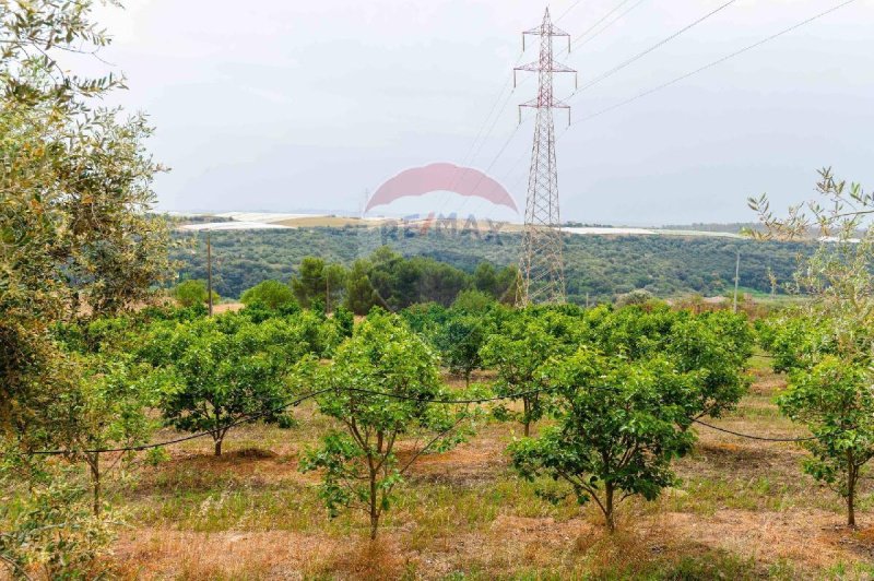 Сельскохозяйственный участок в Кальтаджироне