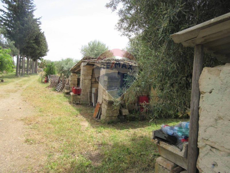 Сельскохозяйственный участок в Мелилли