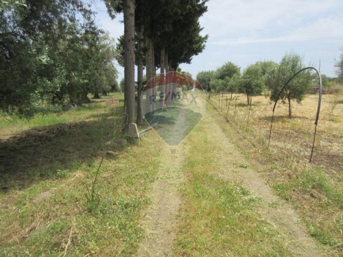 Terreno agrícola em Melilli