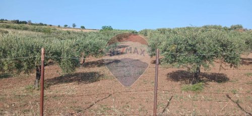 Terreno agrícola en Maniace