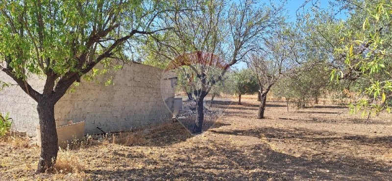 Landbouwgrond in Noto