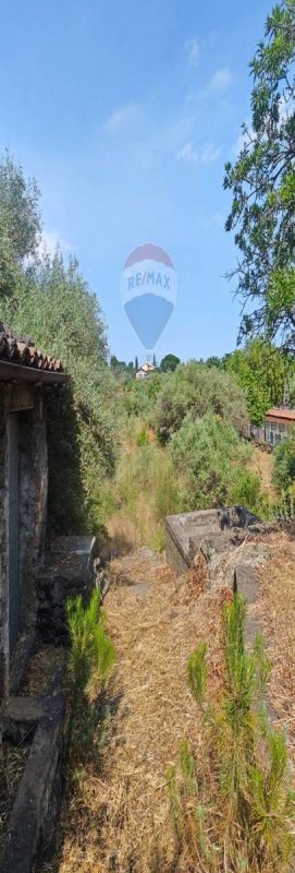 Jordbruksmark i Mascalucia