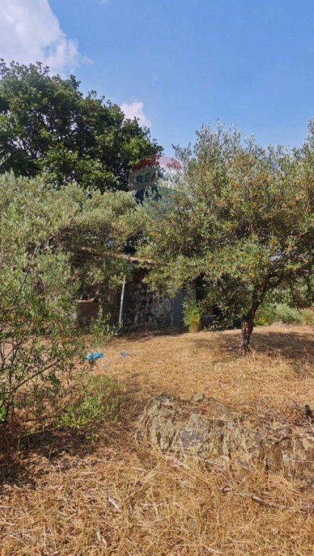 Jordbruksmark i Mascalucia