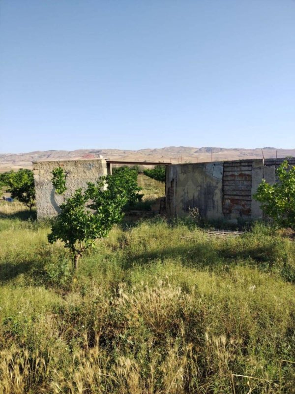 米内奥农用土地