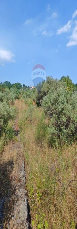 Сельскохозяйственный участок в Маскалуча