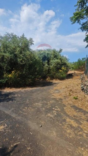 Сельскохозяйственный участок в Маскалуча