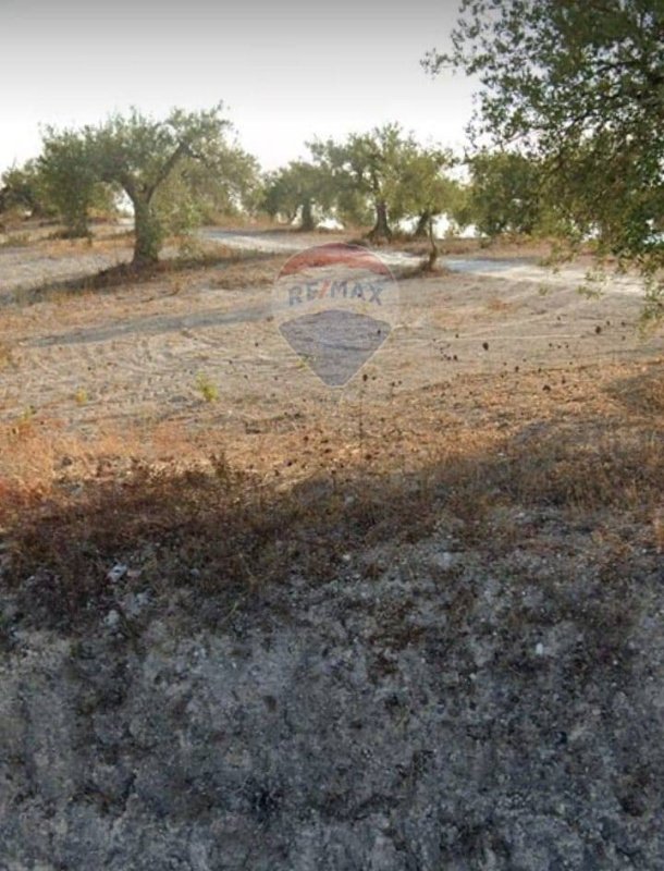 Terrain à bâtir à Mazzarrone