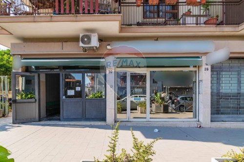 卡塔尼亞商业房产