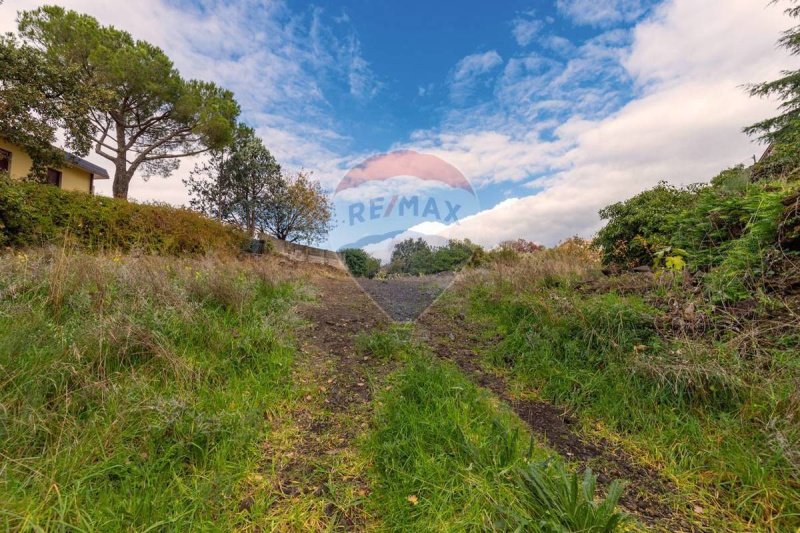 佩达拉建筑用地