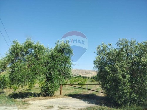 米内奥农用土地