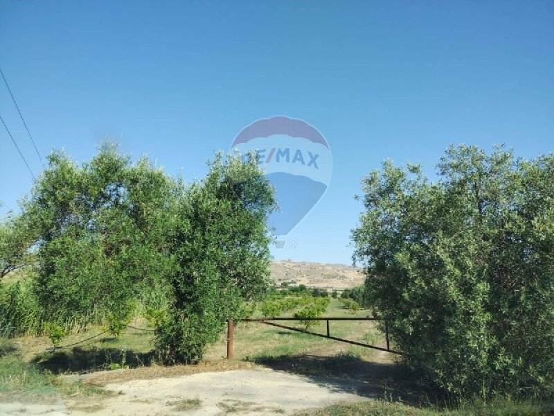 米内奥农用土地