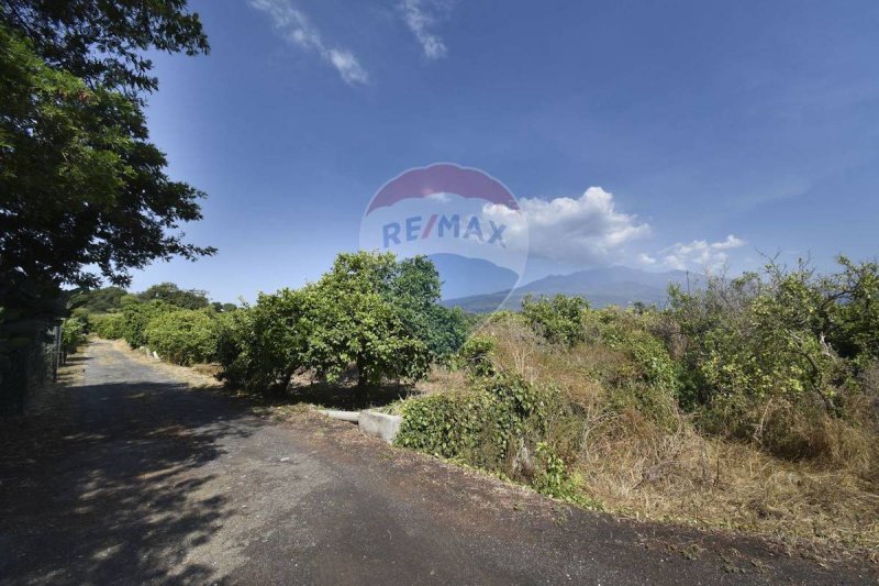 Jordbruksmark i Acireale