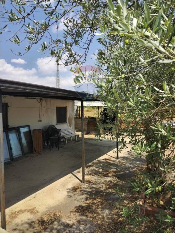 皮亚扎-阿尔梅里纳别墅