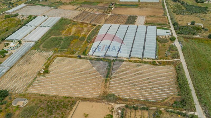 伊斯皮卡农用土地