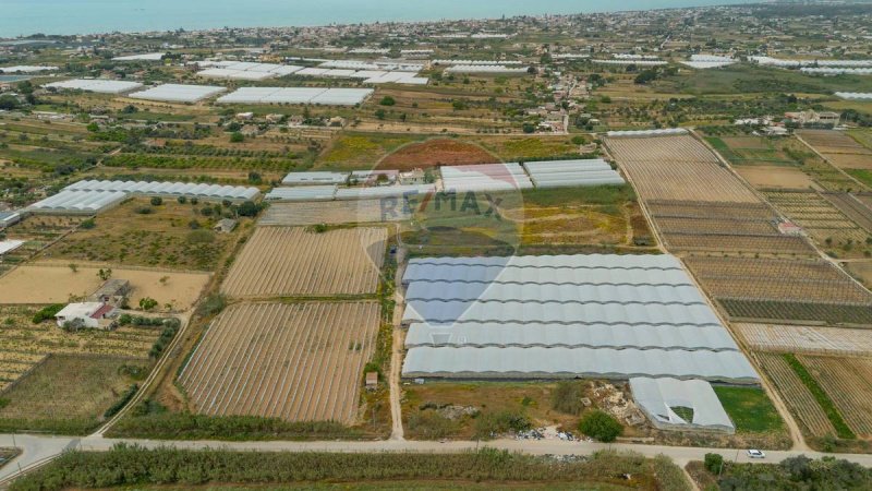 伊斯皮卡农用土地