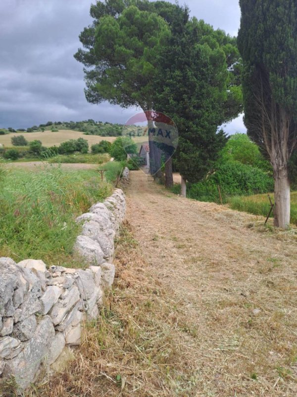 罗索利尼农用土地