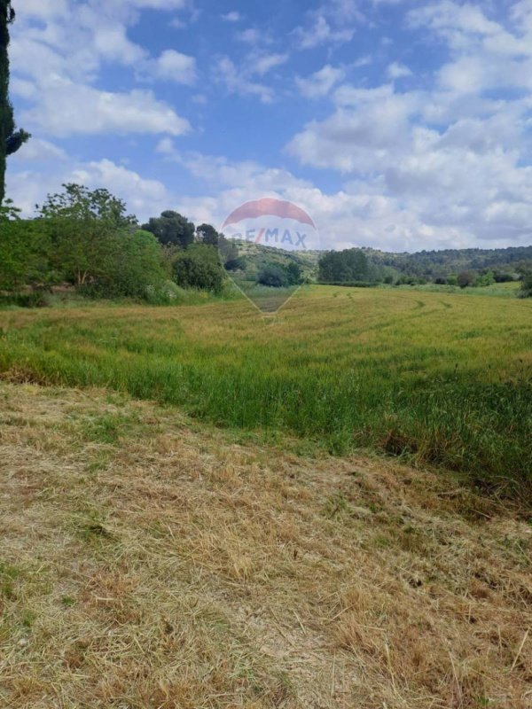 Сельскохозяйственный участок в Розолини