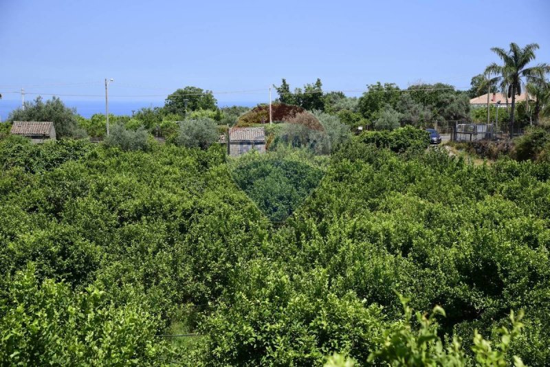 Landwirtschaftliche Fläche in Acireale