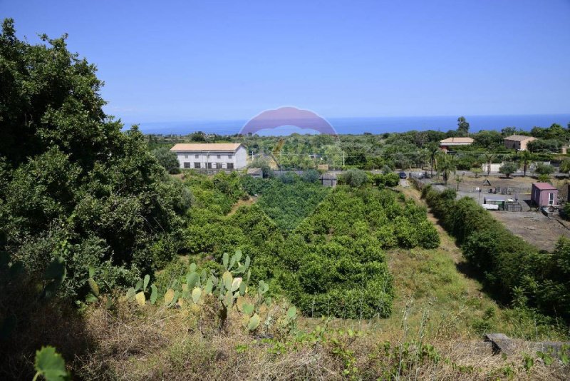 Landwirtschaftliche Fläche in Acireale
