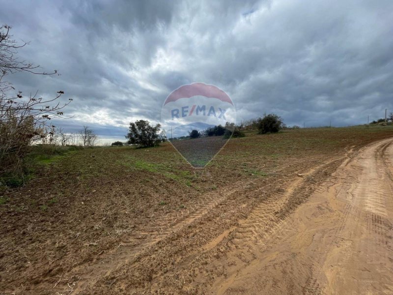 Terreno agrícola em Caltagirone