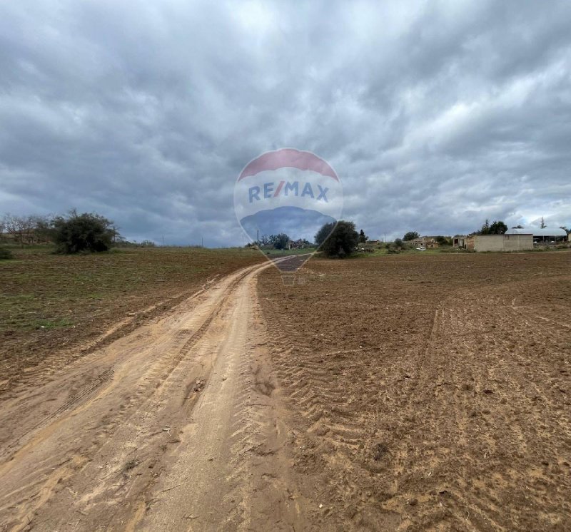 Terreno agrícola em Caltagirone