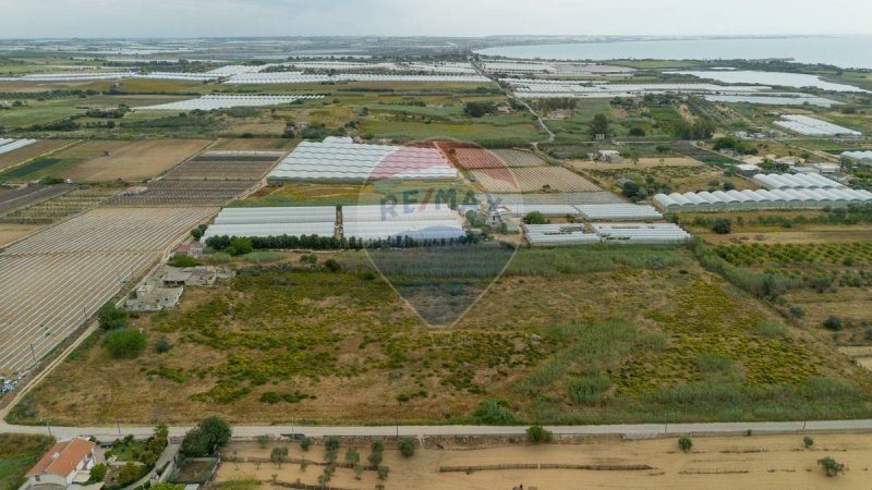 Agricultural land in Ispica