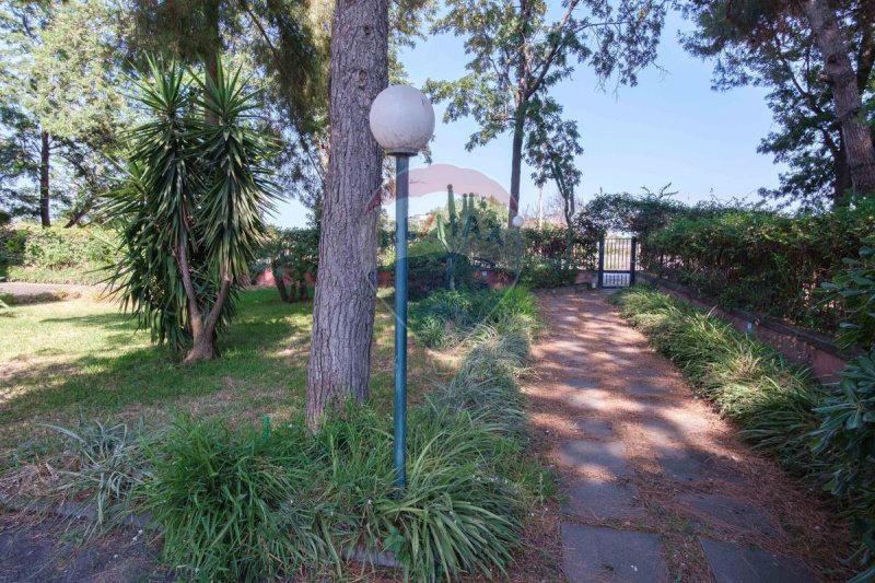 Appartement in Catanië