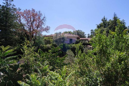 扎费拉纳-埃特内阿别墅