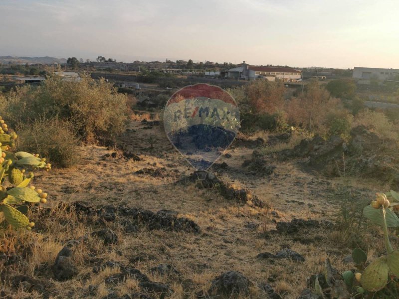 Terreno agricolo a Misterbianco