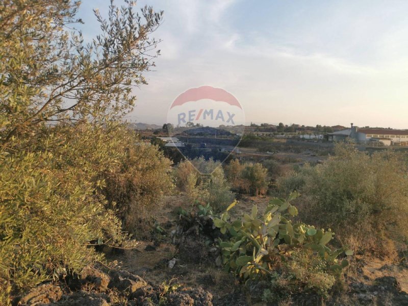 Terreno agricolo a Misterbianco