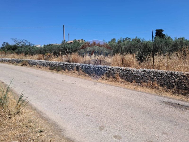 Agricultural land in Ragusa