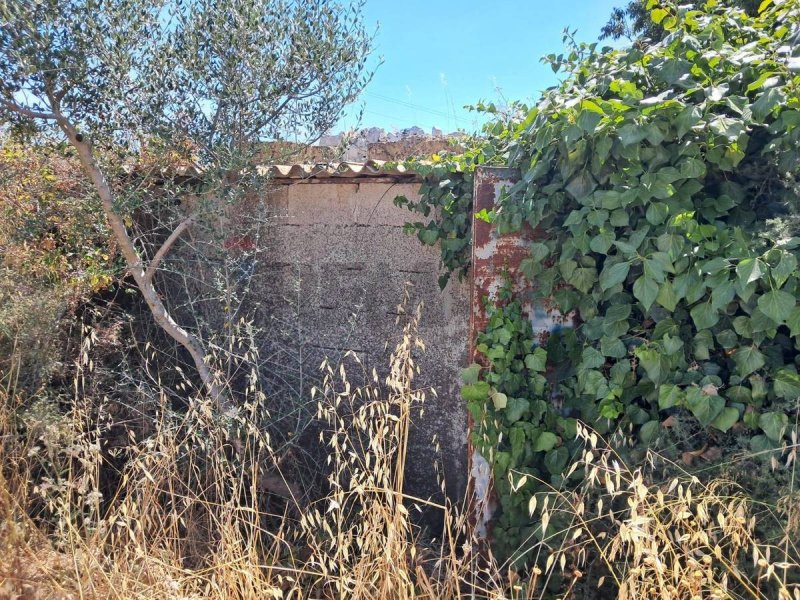 Agricultural land in Ragusa