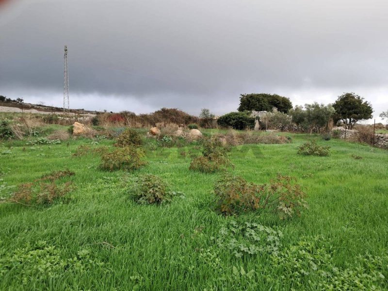 Сельскохозяйственный участок в Рагуза