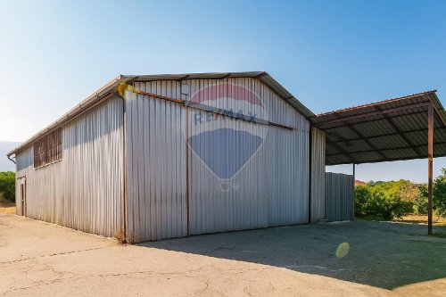 Local commercial à Acireale