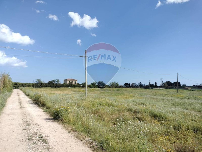 Landbouwgrond in Syracuse