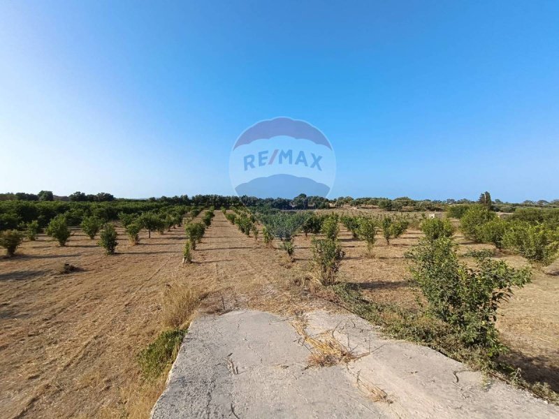 Terreno agrícola em Noto